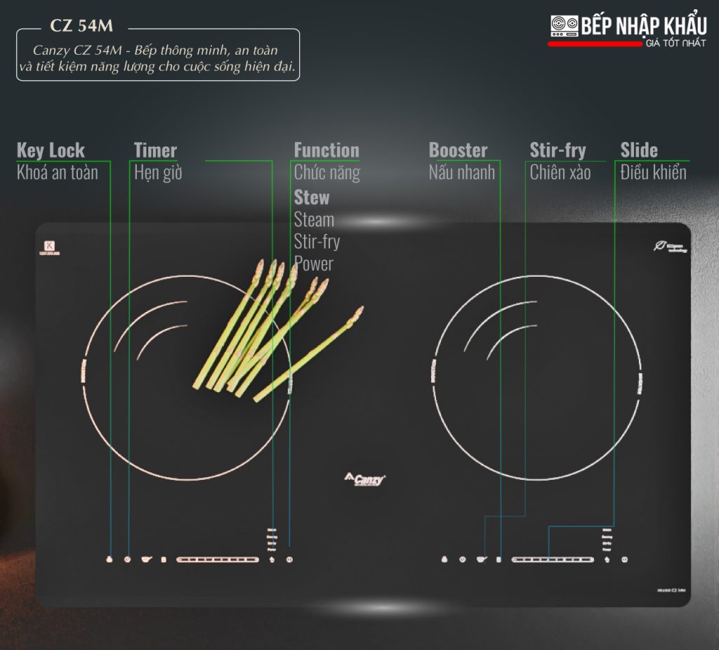 Bếp điện từ Canzy